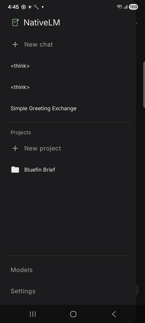 NativeLM Document RAG Demo
